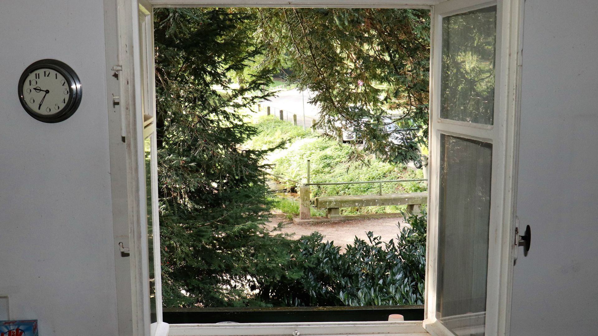 Blick aus dem Fenster ins Grüne