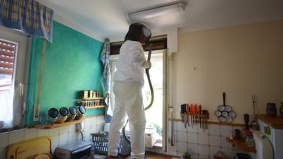 Hornissenbeauftragter Michael Baumer in der Küche der Familie Witzstock, wie er Hornissen aus dem Rollladenkasten „saugt“.