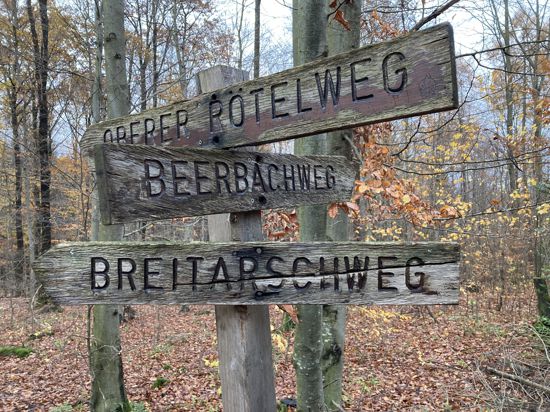 Hölzerne Schilder weisen auf den Breitarschweg, Beerbachweg und Oberern Rötelweg.
