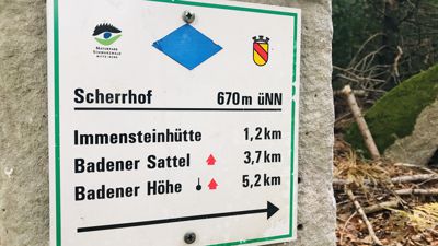 Wandern, Schwarzwald, Tourismus, Baden-Baden, Scherrhof, Stadtwald