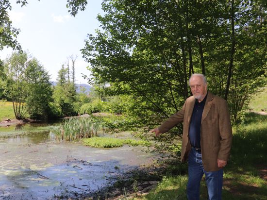 Jochen A. Pfisterer zeigt, dass sich am Rotenbachsee bereits ein Niederungsmoor mit Schilfrohr und Brunnenkresse entwickelt. 