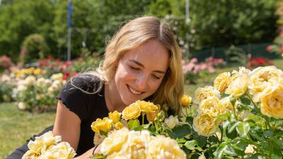 Katrin Schülle schaut sich im Garten der internationalen Rosenneuheiten die Gewinnerrose mit dem Namen „Spotlight“, die mit dem Ehrenpreis „Goldene Rose von Baden-Baden“ ausgezeichnet wird an. 