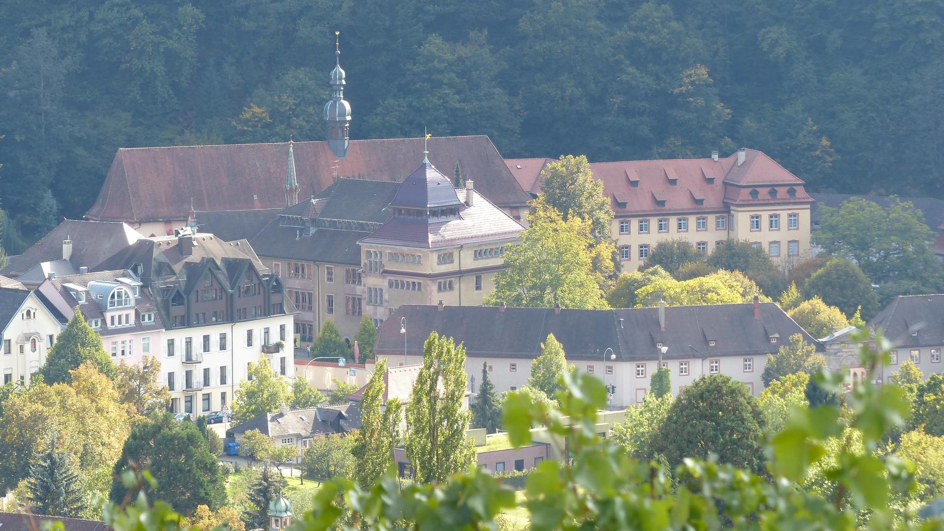 Die Ansicht zeigt das Kloster Lichtental