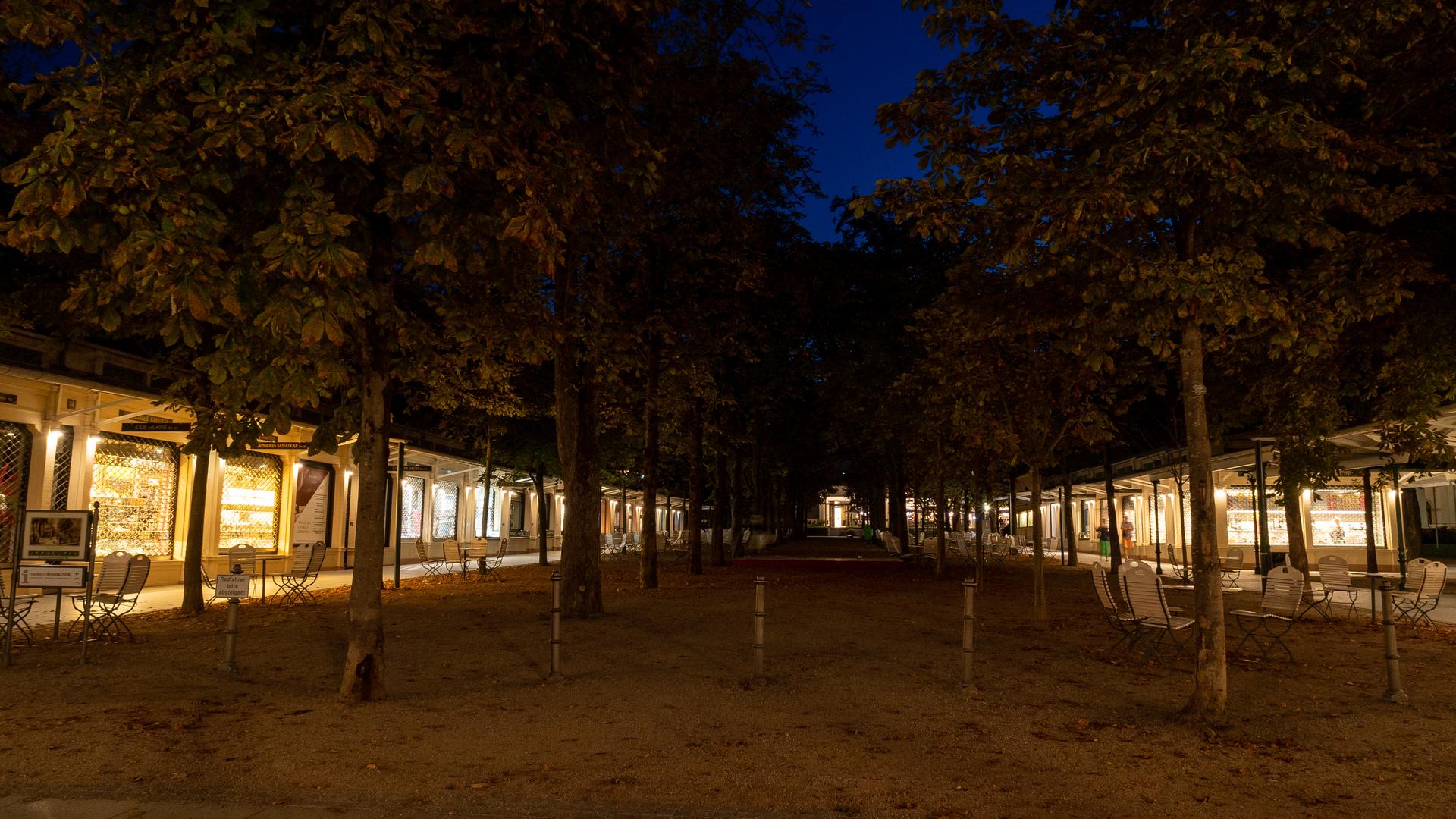Die Bäume in den Kurhaus-Kolonnaden sind nachts nicht beleuchtet.