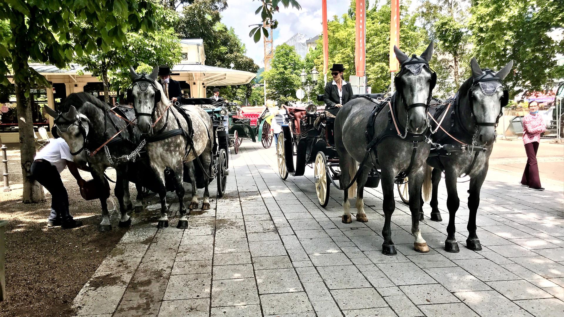 Pferdekutschen von Sabrina Möller stehen an den Kolonnaden Baden-Baden