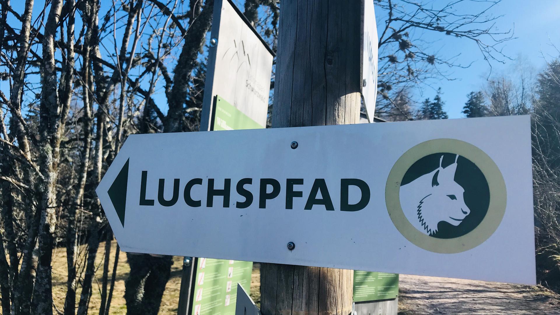 Auf den Spuren von Pinselohr: Der Luchspfad ist eine der Attraktionen im nördlichen Teilgebiet des Nationalpark Schwarzwald.