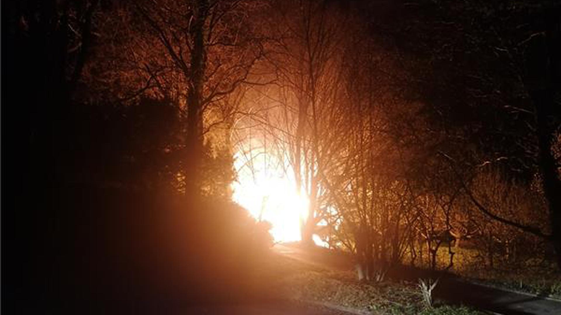 Eine Grillhütte brennt in Baden-Baden-Varnhalt.