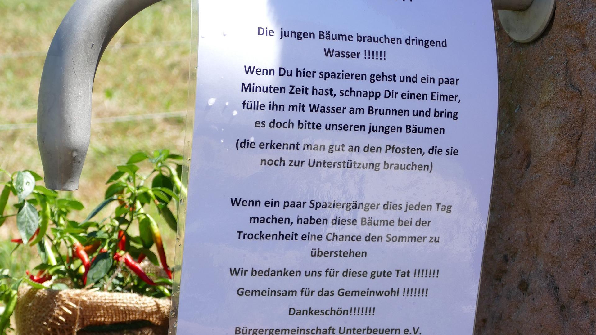 Obstgut Leisberg kämpft gegen die Trockenheit