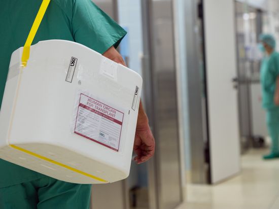 Ein Klinikbediensteter trägt einen Styropor-Behälter für den Organ-Transport in einen OP. 