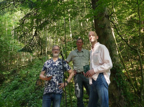 Im Stadtwald nehmen Komponist Rainer Oleak (von links), Forstamtsleiter Thomas Hauck und Regisseur Torsten Feuerstein das Tannenrauschen auf.