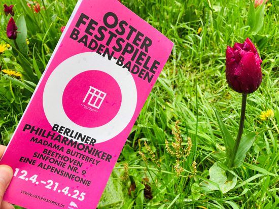 Passend zur Farbgestaltung des Programm-Flyers der Osterfestspiele im Jahr 2025 blühen in Baden-Badener Grünanlagen schon vereinzelt Tulpen. 