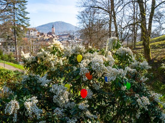 Blick vom Michaelsberg aus auf die Stadt Baden-Baden, im Vordergrund ist ein blühender Busch zu sehen, in dem Ostereier hängen.