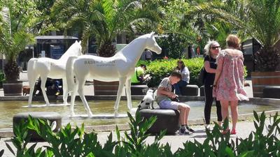 Im See auf dem Augustaplatz in Baden-Baden stehen Werbe-Pferde aus Kunststoff.
