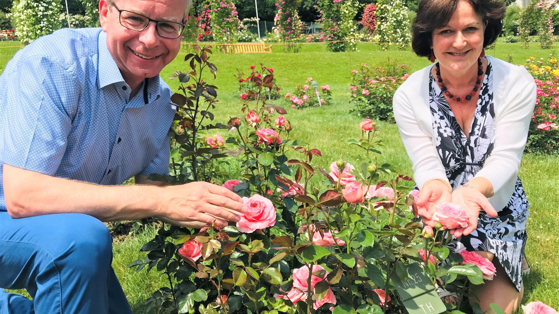 Oberbürgermeisterin Margret Mergen und der Chef der städtischen Parks und Gärten, Markus Brunsing, fiebern dem 69. Rosenneuheitenwettbwerb entgegen. Hier begutachten sie eine Wettbewerbskandidatin.