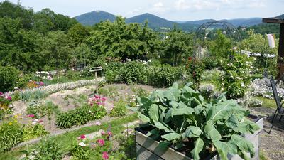 In Kleingärten gilt die ein-Drittel-Regel. Das bedeutet: es müssen mindestens zu je einem Drittel Obst/Gemüse und Blumen gepflanzt werden. Das restliche Drittel kann für Gartenlauben, Rasen oder Sitzgelegenheiten genutzt werden. 