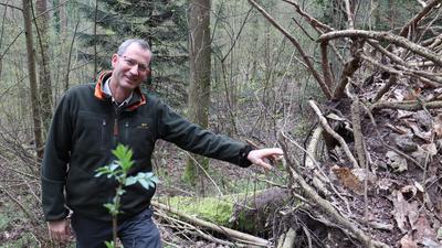 Wertvolles Totholz: Baden-Badens Forstamtsleiter Thomas Hauck lässt auch umgestürzte Bäume teils im Wald liegen, denn sie sind wichtige Wasserspeicher.