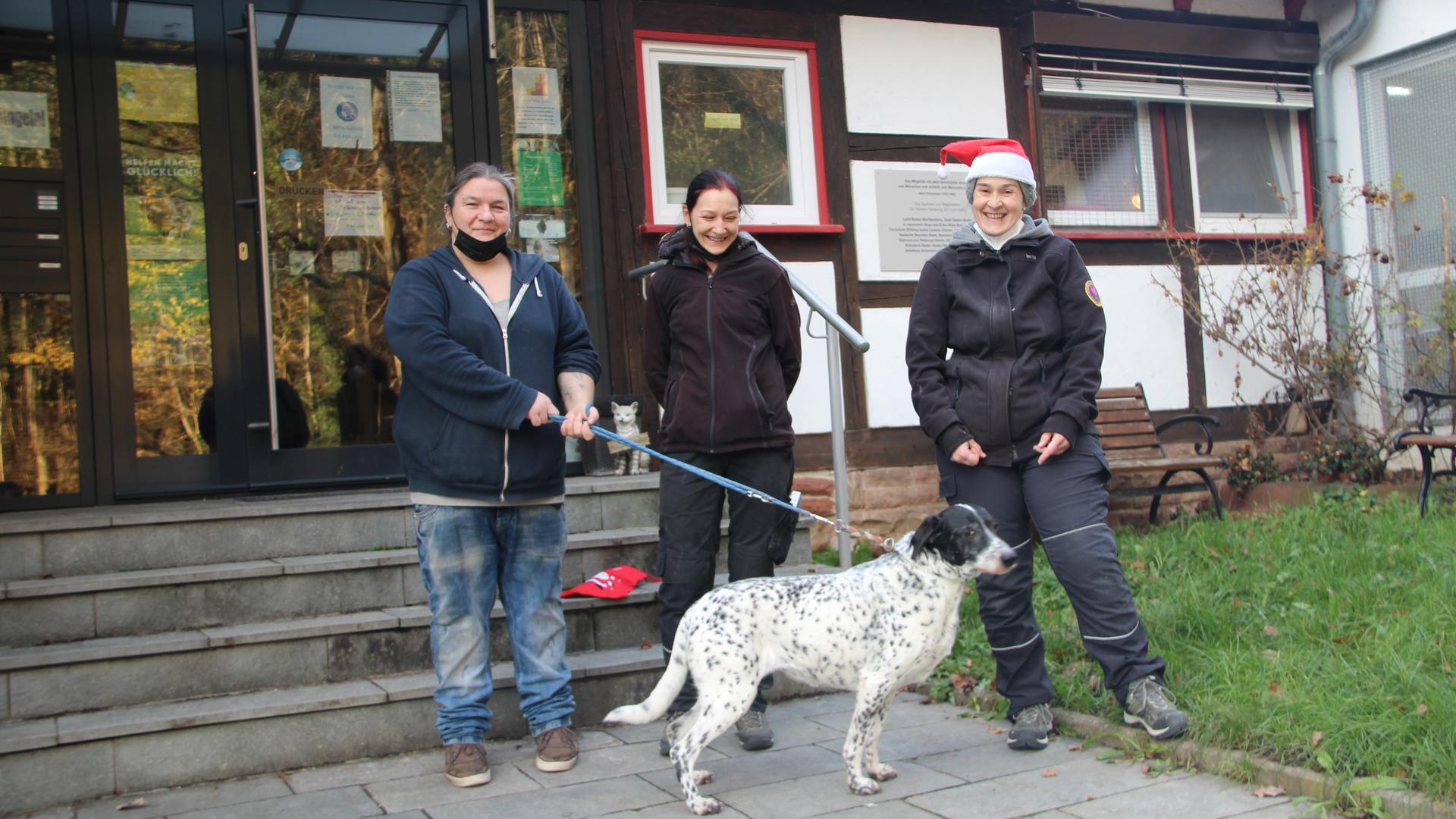 Teamwork: Tatjana Wolf, Ivonne Steinhardt und Jessica Reichynek (von links) kümmern im Tierheim nicht nur um Hündin „Tilly“. 