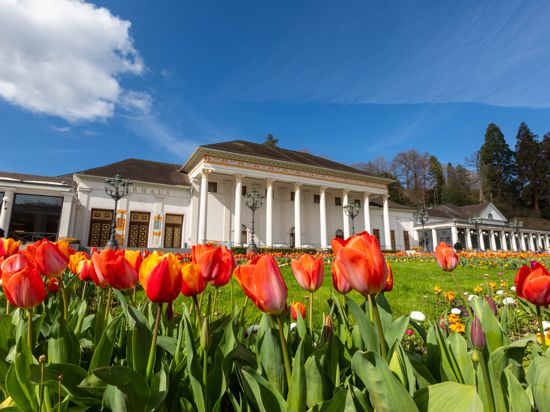 Blick auf rote Tulpen mit dem Baden-Badener Kurhaus im Hintergrund.