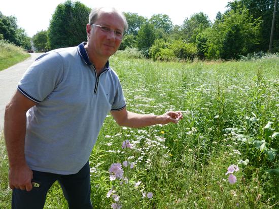 Im Obst- und Gartenbauverein und Heimat- und Kulturverein Haueneberstein fand Martin Wieland Mitstreiter für die Idee Wildblumenwiesen anzulegen.