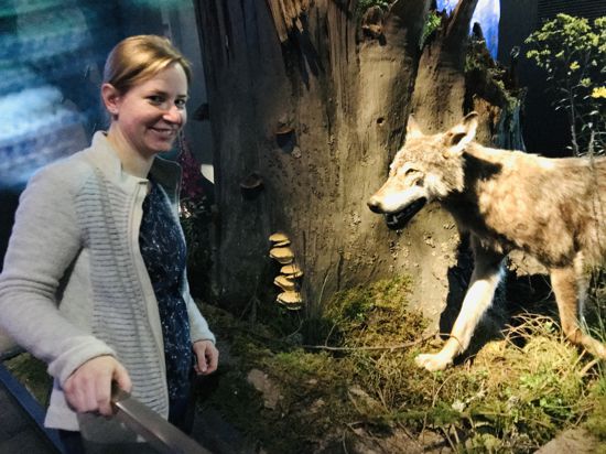 Ursula Putz, Leiterin der Besucherzentrum im Nationalpark Schwarzwald, steht in der Dauerausstellung vor einem (präparierten) Wolf.
