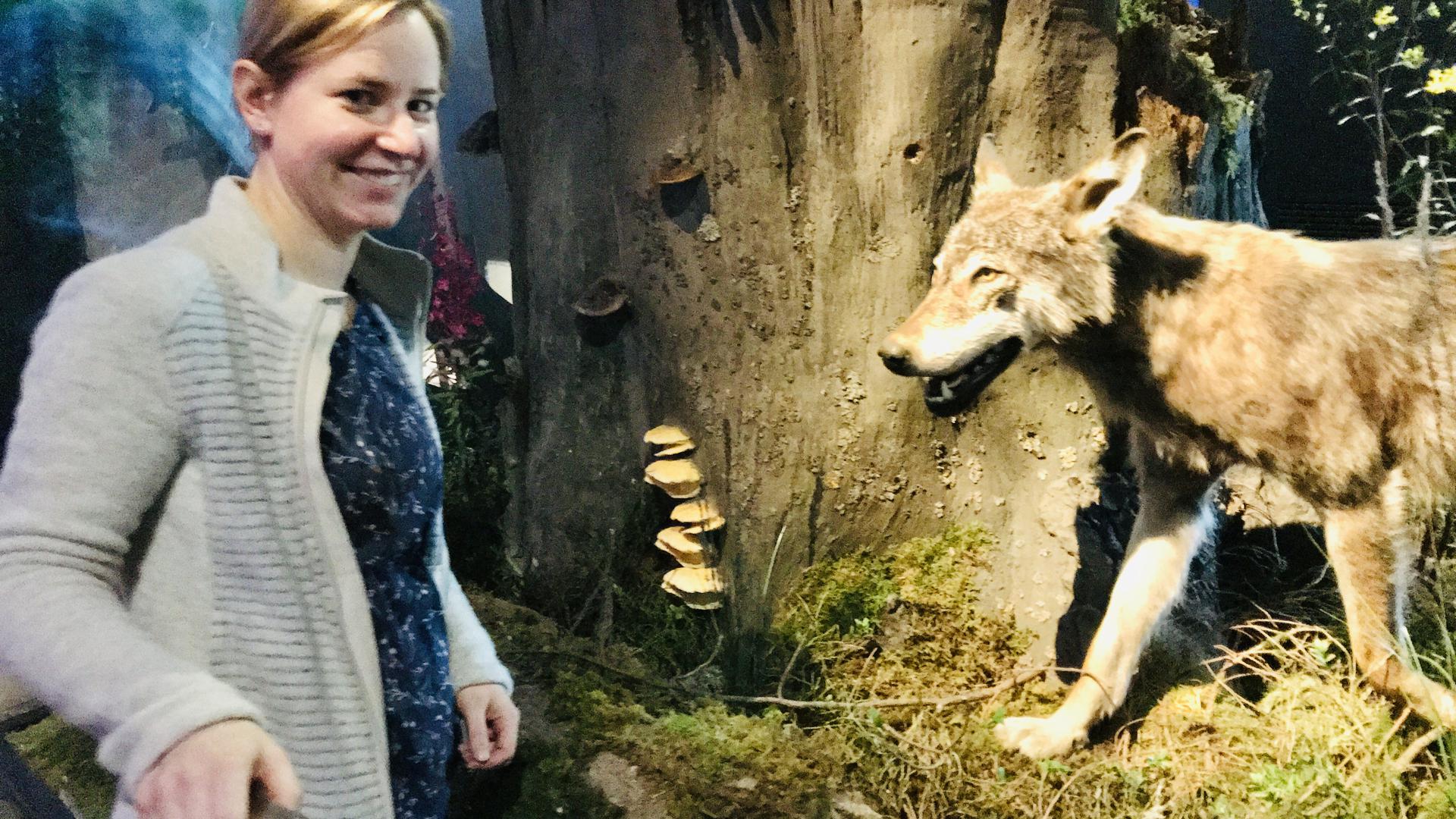 Ursula Pütz, Leiterin des Besucherzentrums des Nationalpark Schwarzwald auf dem Ruhestein, steht in der Ausstellung vor einen präparierten Wolf. 