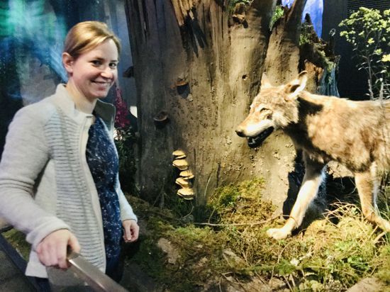 Ursula Pütz, Leiterin des Besucherzentrums des Nationalpark Schwarzwald auf dem Ruhestein, steht in der Ausstellung vor einen präparierten Wolf. 