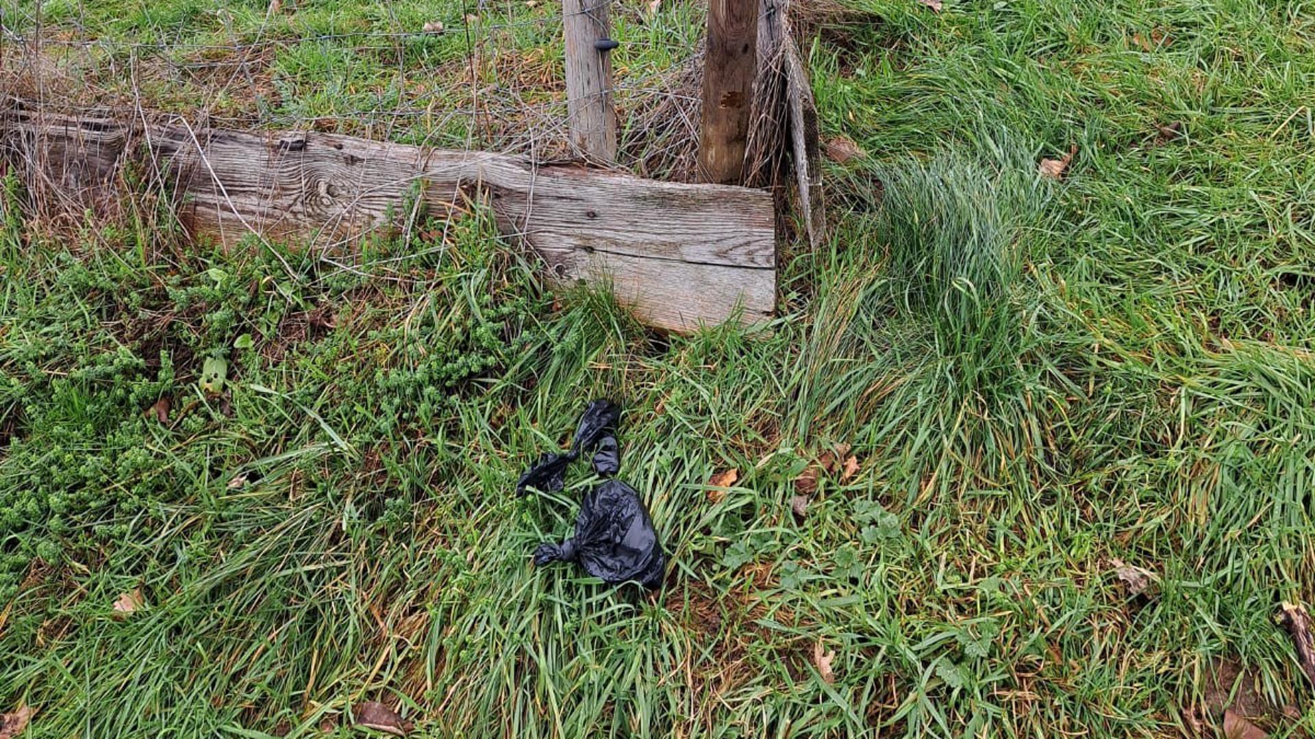 Ein schwarzer Plastikbeutel liegt auf einer Wiese bei einem Schild.