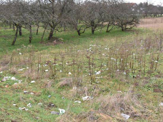 Auf dem betroffenen Grundstück sind immer noch Überreste der illegalen Müllentsorgung zu sehen.