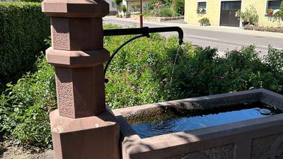 Eingebettet von Rosen, in idyllischer Lage: Der Brunnen in der Yburgstraße würde sich als Trinkbrunnen anbieten.
