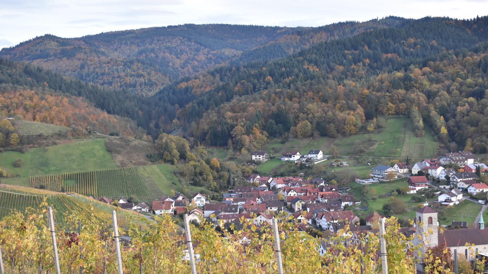 Historische Verbindungen zwischen Baden-Baden als Thermalkurort und dem Weinbau im Rebland müssen erarbeitet werden. 