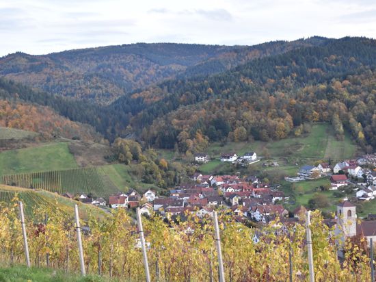 Historische Verbindungen zwischen Baden-Baden als Thermalkurort und dem Weinbau im Rebland müssen erarbeitet werden. 