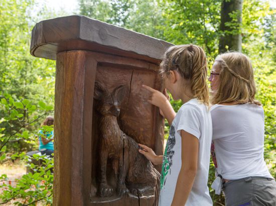 Kinder entdecken den Luchspfad in Baden-Baden