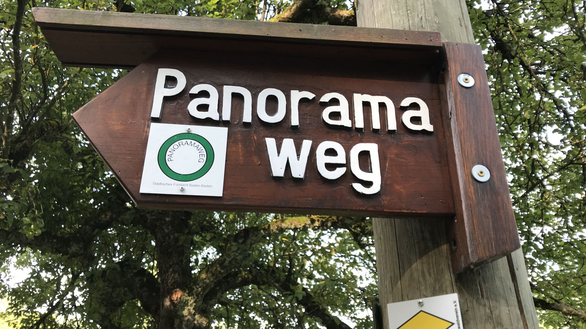 Wandern in der Oberklasse: Der Panoramweg zählt zu den schönsten Wanderwegen in Deutschland.