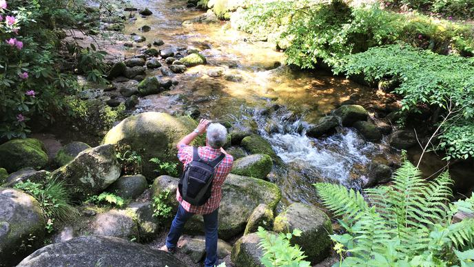 Wandern auf dem neuen Panoramaweg in Baden-Baden: Die Geroldsauer Wasserfälle