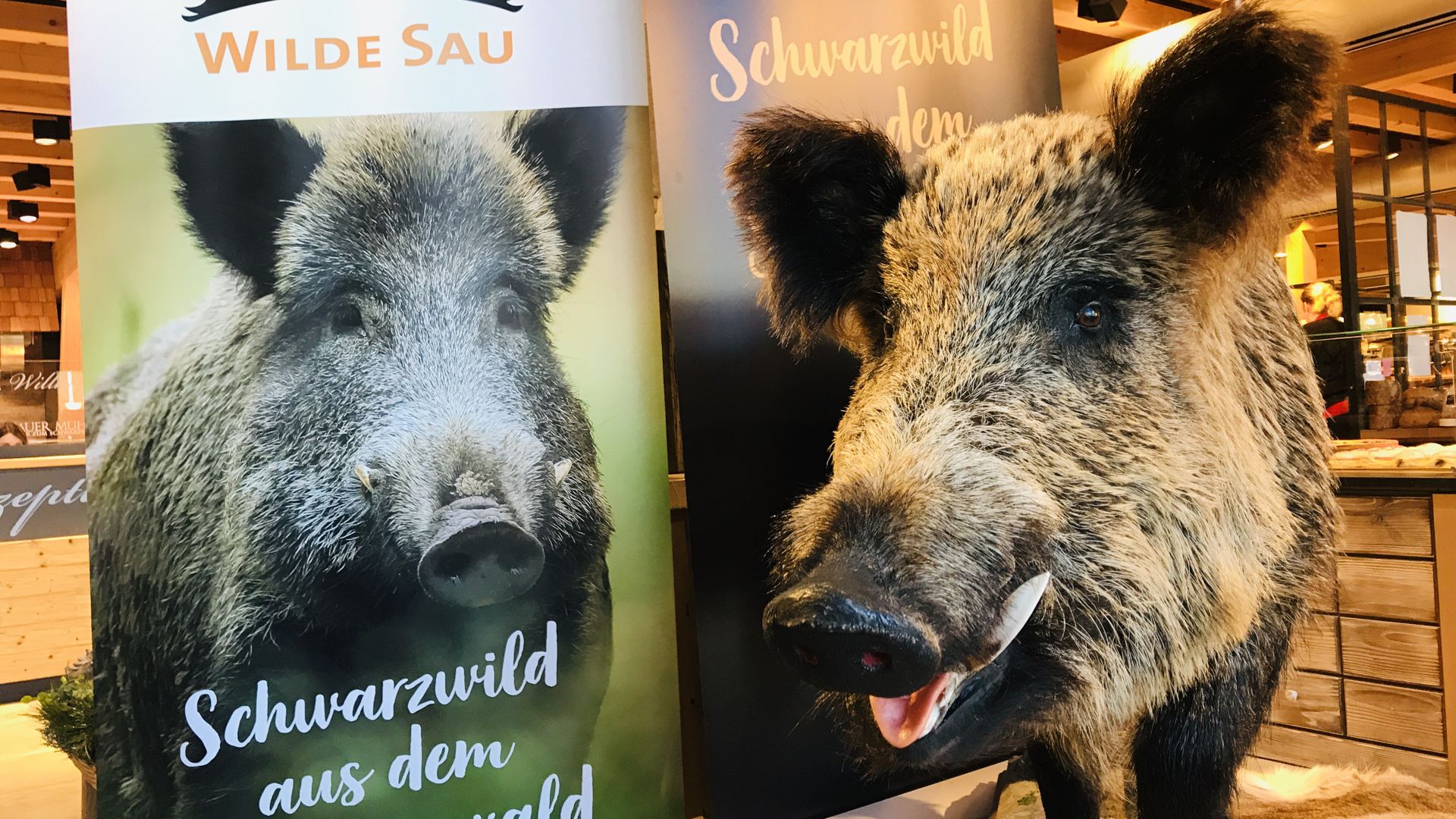 Wildschwein Archibald empfängt die Besucher des Aktionstags zum Projekt Wilde Sau in der Geroldsauer Mühle. Das Tier wurde im Wald bei Bad Peterstal erlegt.