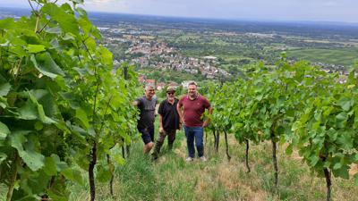 Die Gründer des Weingutes Marc Bürkle (rechts) und Uwe Link (links) mit Berater und Mit-Initiator Gerold Hug in den neu gepachteten Spätburgunder-Reben oberhalb von Varnhalt. 