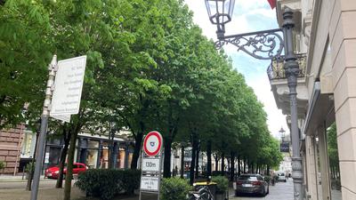 Gold wert: Die alten Kastanienbäume in der Sophienallee senken die Temperatur an heißen Tagen in der Innenstadt spürbar.
