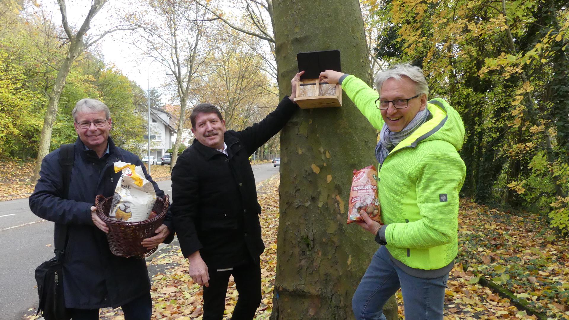 Markus Brunsing (v.l.), Helmut Oehler und Alexander Uhlig füllen die Eichhörnchen-Futterstation mit Nüssen und Sonnenblumenkernen.