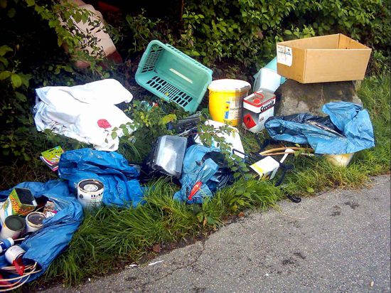 Wird zunehmend zu einem Problem: Wilder Müll in der Stadt kann über den Mängelmelder gemeldet werden.