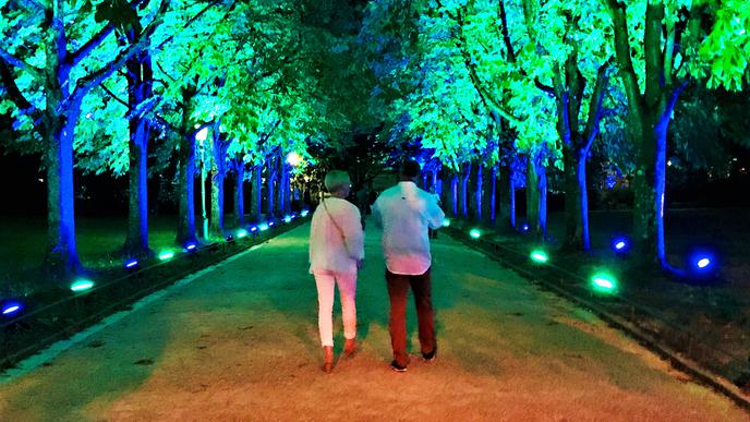 Wie eine Märchenallee: Bunt beleuchtete Bäume beim Kurparkmeeting in Baden-Baden.