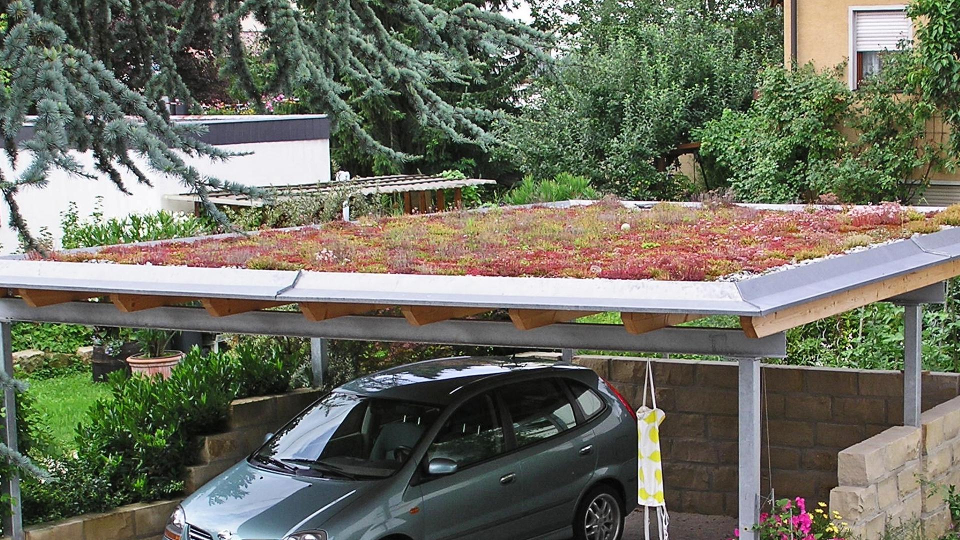 Auf den Dächern von Carports und Garagen sprießen immer häufiger Gräser und Stauden.