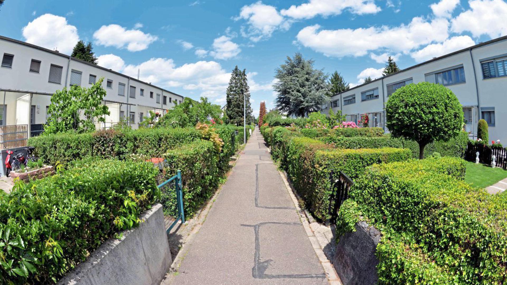 Die Siedlung Dammerstock in Karlsruhe ist ein frühes Beispiel für modernen Wohnungsbau. Sie erfüllt die Forderung der Weimarer Verfassung nach einer „gesunden“ Architektur, die die katastrophalen hygienischen Wohnbedingungen des 19. Jahrhunderts ablöst.