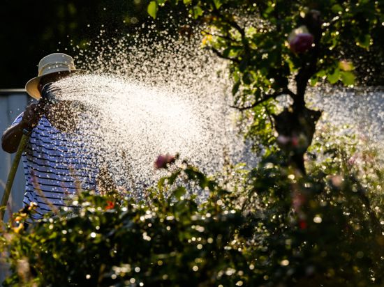 Eine Frau gießt mit Wasser aus einer Grundwasserpumpe ein Blumenbeet. Eine Hitzewelle bringt Deutschland diese Woche Temperaturen bis zu 40 Grad. +++ dpa-Bildfunk +++