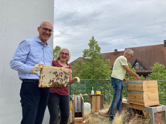 Der Bühler Sparkassen-Chef Frank König zeigt eine Honigwabe mit Bienen, neben ihm steht Imkerin Sonja Schaufler und Imker-Kollege Adolf Horcher.