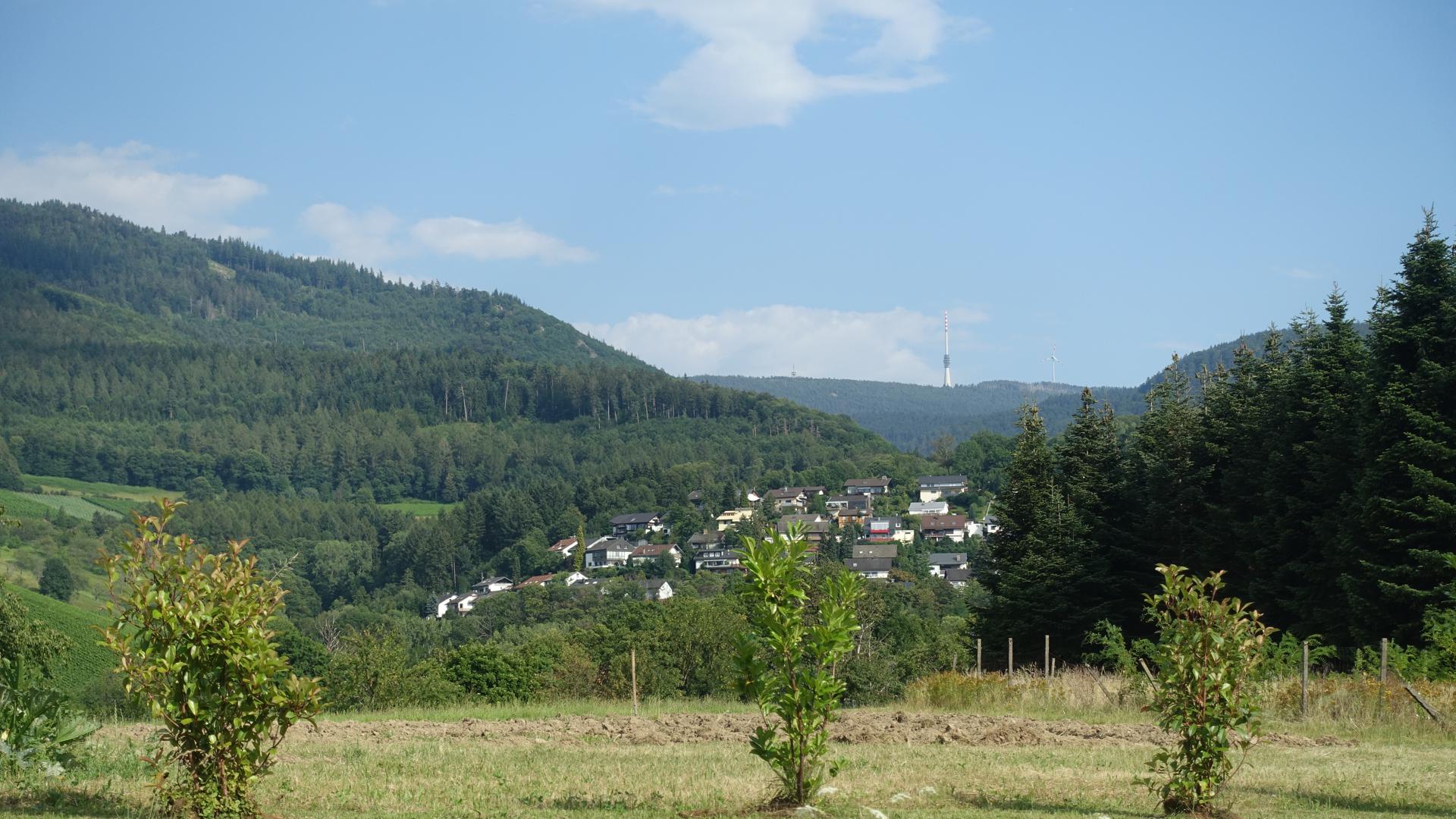 Blick auf den Schwarzwald über Ackerland hinweg. Auf einem der Berge steht ein moderner Fernsehturm. 