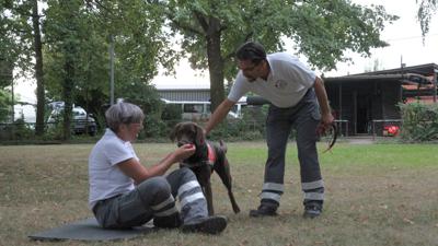 Zwei Menschen und ein Hund bei einer Suchübung der DRK Rettungshundestaffel in Bühl