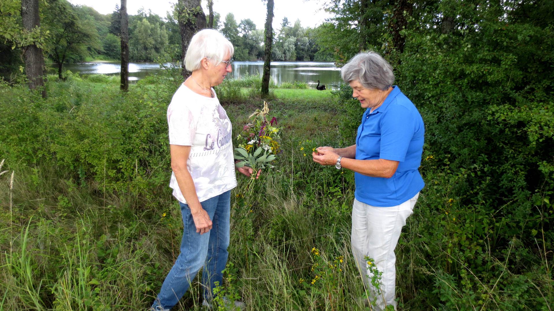 Heilkräuterfachfrau Anna Ibach (rechts) zeigt am Mooser Baggersee die Stelle, an der das Johanniskraut wächst.
