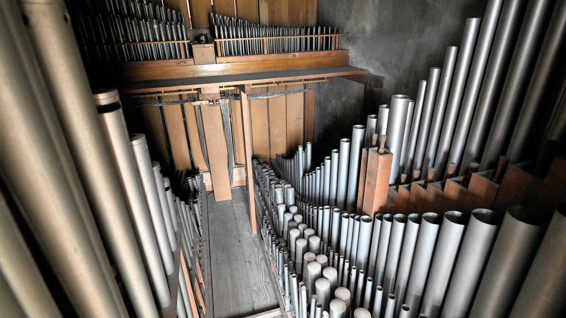 Schwarz-Orgel