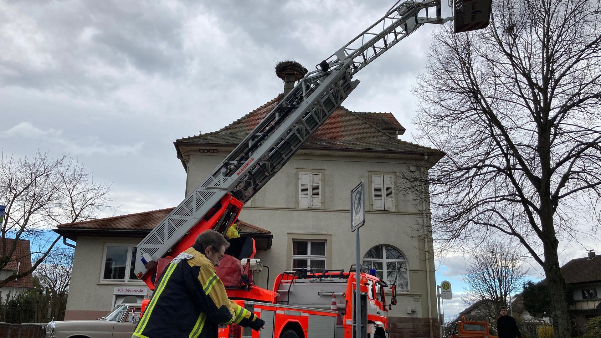Große Drehleiter der Bühler Feuerwehr bei Nestsäuberung in Oberweier.