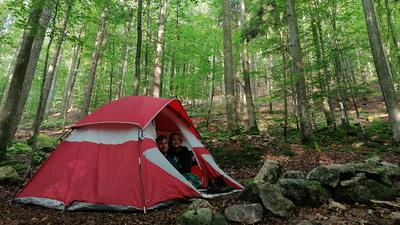 Zelten im Naturpark: Das Camp Grimbach liegt inmitten eines 80 Jahre alten Buchenwalds. E